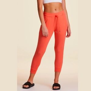Coral Pink Alala Heron Joggers, Size M